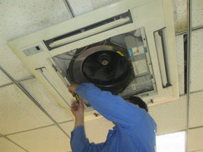 河源家电经销商拓展家电清洗服务 增收新机遇与实施策略